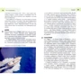 Патриція Шульц: Неаполь, Капрі і узбережжі Амальфі. Путівник Berlitz Pocket Guide: Кількість сторінок 160