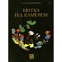 Анатолій Вишевський: Квітка під камнем