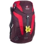 Рюкзак Рюкзак Deuter AC Lite 22 SL aubergine-fire (34202165522) фото 7