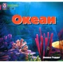 Бекка Геддл: Океан