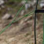 Палатка Vango Blade Pro 200 Pamir Green: Количество мест 2