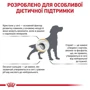 Сухий корм для собак Royal Canin Urinary S/O Dog при захворюваннях сечовивідних шляхів 2 кг (39130201) фото 9