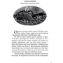 Філіп Пулман: Тінь на півночі. Таємниця Саллі Локгарт. Книга 2: Виробник Nebo