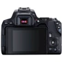 Canon EOS 250D kit (18-55mm) DC III UA: Размер матрицы, мм 22.3x14.9