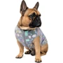 Жилет для собак Pet Fashion Magic розмір XL різнокольоровий (4823082427239): Тип Жилеты