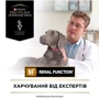 Влажный корм для собак Pro Plan Veterinary Diets NF Патологии почек 400 г (7613035181465): Свойства Заболевания почек