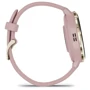 Смарт-часы Garmin Venu 3S Soft Gold Stainless Steel Bezel with Dust Rose Case and Silicone Band (010-02785-03): Стандарт защиты 5 ATM