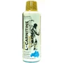 Жироспалювач Kevin Levrone Gold L-Carnitine 3000 mg 500 ml / 33 servings / blue raspberry