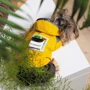 Дощовик Pet Fashion ELSA дівчинка XS-2 (4823082431557): Тип Дождевики