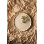 Столовый сервиз Dovbysh Porcelain NOVA Biege 12 предметов (DP102BG): Количество предметов в наборе 12