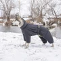 Комбінезон Pet Fashion Cold XS сірий (4823082426317): Тип Комбинезоны