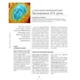 Меґґі Блотт: Вагітність день за днем: ISBN 978-617-09-9105-8