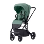Прогулянковий візок Carrello Alfa CRL-5508 Apple Green: Кількість блоків 1