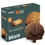 Картонний конструктор Cartonic 3D Puzzle BRAIN