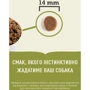 Сухой корм ACANA Adult Dog Recipe для собак всех пород со вкусом курицы 6 кг (a52560): Тип Сухой корм