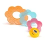 Іграшка музична Chicco Sensory Flower (10156.00): Вік Менше 1 року