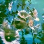 LP2 I-DI Lana Del Rey: Did You Know That There'S A Tunnel Under Ocean Blvd (LP0145) фото 6