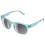 Спортивные очки Очки POC Require Kalkopyrit Blue (PC RE10101577VSI1)
