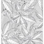 За леопардом в джунгли. Арт-терапия. Раскраски-антистресс: Обложка Мягкая