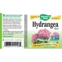 Nature's Way Hydrangea Root 370 mg 100 Caps Гортензия: Форма выпуска Капсулы