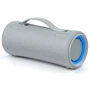 Акустика Sony SRS-XG300 Grey (SRSXG300H.RU4): Звукова система 2.0