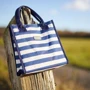 Ємність для зберігання Kitchen Craft Сумка для ланчу Blue Stripes 4 л (CMSTRPHAND): Обсяг, л 4