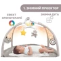 Центр м'який ігровий розвиваючий Chicco Enjoy Colours Gym (09866.00): Тип развивающий центр