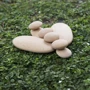 Набор блоков Guidecraft Natural Play Деревянный булыжник (G6771)