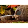 Пещера с поилкой Exo Terra Coconut Hide & Water Dish Кокос 21х12х11.5 см (015561231596) фото 1