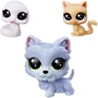 Набір Hasbro Littlest Pet Shop Колекція 12 щасливих петов капкейк (E5161): Стать для дівчаток