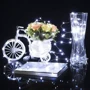 Гирлянда на батарейках Springos 9.9 м 100 LED CL0019 Cold White: Количество ламп 10