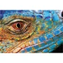 Пазли InterDruk Барвиста природа Ящірка (250 елем) (342034): Вид фауна