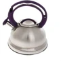 Чайник Wellberg WB 6135 (2.5л): Особенности Свисток