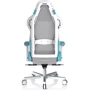 Кресло DXRacer Air PRO белое-бирюзовое (AIR-R1S-WQ.G-B3-NVF): Материал обивки Ткань, С сеткой