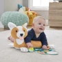 Розвиваючий ігровий набір Fisher-Price Цуценя (HJW10) фото 5