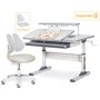 Комплект Парта Ergokids TH-320 Grey + Кресло Evo-kids Mio Lite G (TH-320 W/G + Y-208 G): Ширина столешницы, см 100