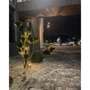Світильник вуличний Nowodvorski 3401 Bush GU10 фото 3