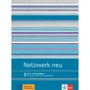 Netzwerk neu B1: Lehrerhandbuch mit Audio-CDs und Video-DVD