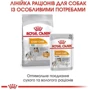 Сухой корм Royal Canin Coat Care Adult для собак мини пород с тусклой и сухой шерстью 3 кг (1220030): Класс Супер премиум