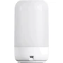 Розумна настільна лампа Tesla TechToy TSL-LIG-TLAMP: Особливості Регулювання кольору світіння, Розсіяне світло, USB-вихід