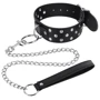 Ошейник с поводком Fetish Tentation Rivets and Leash