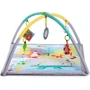 Развивающий коврик Kinderkraft Mily (KKZMILY0000000): Тип развивающий коврик