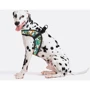 Шлея HiDog Comfort Geometrik 54-60 см XL разноцветная (140\1002) фото 5