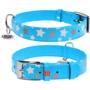 Нашийник Collar Glamour з візерунком Зірочка Світиться з QR паспортом 38-49 см 25 мм блакитний (4823089301334)
