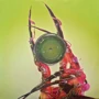 LP I-DI Lady Gaga: Dawn Of Chromatica - Clear Vinyl (LP0094) фото 3