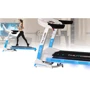 Беговая дорожка Thunder FLEX-S-WHITE (FLEX-S-WHITE): Дисплей есть