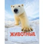 Животные. Полная энциклопедия