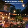 Набор светодиодных ламп Govee H7025 Outdoor Clear Bulb String Lights, 15м, RGBIC/Warm White, WI-FI/Bluetooth, черный (H7025CB1)