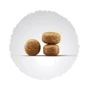 Сухой корм для собак Josera Balance для пожилых и малоактивных собак 12.5 кг (50012838): Тип Сухой корм