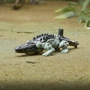 Трансформер Hasbro TRA MV7 Ba Beast Battle Master Crescent серии 7: Восхождение Звероботов (F3895_F4601): Возраст От 6 лет